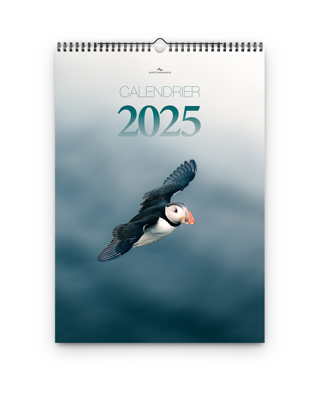 2025 Calendar - Standard Edition